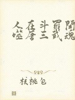人在斗罗开局吞噬唐三武魂