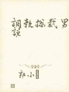 调教总裁男男小说