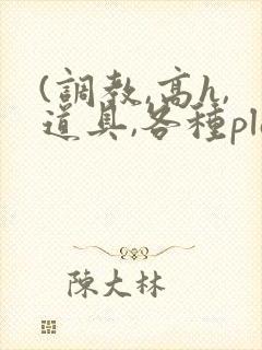 (调教,高h,道具,各种play)文