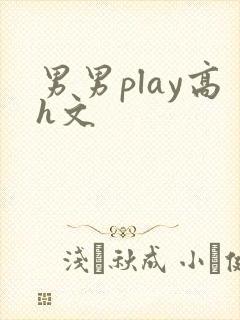 男男play高h文封面