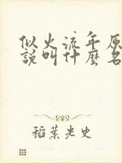 似火流年原著小说叫什么名字