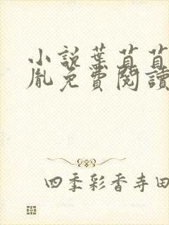 小说叶苜苜战承胤免费阅读