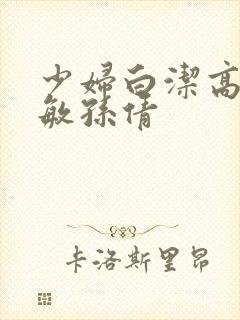 少妇白洁高义张敏孙倩封面