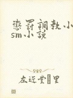 惩罚调教小母狗sm小说