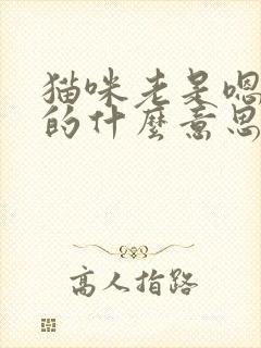 猫咪老是嗯嗯嗯的什么意思封面