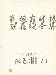 武炼巅峰杨开小说在线全集