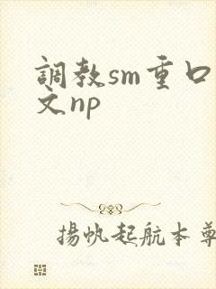 调教sm重口h文np