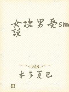 女攻男受sm小说封面