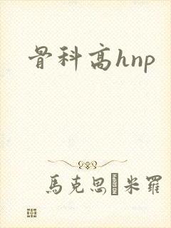 骨科高hnp