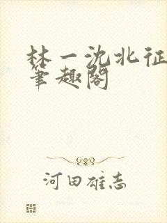 林一沈北征小说笔趣阁