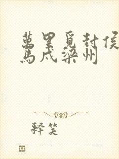 万里觅封侯,匹马戍梁州封面