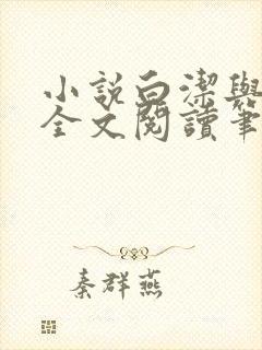 小说白洁与高义全文阅读笔趣阁