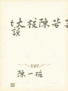 t大校陈若芸小说