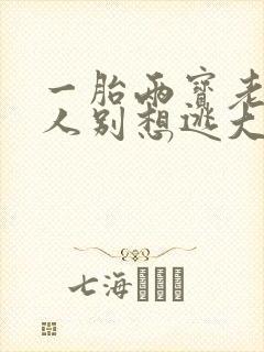 一胎两宝老婆大人别想逃大结局