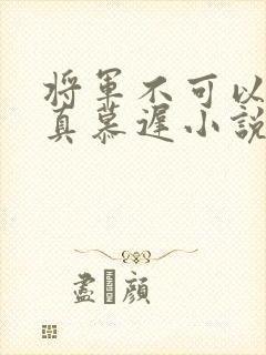 将军不可以魏云真慕迟小说笔趣阁封面