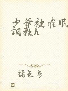 少爷被催眠玩弄调教h封面