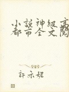小说神级高手在都市全文阅读