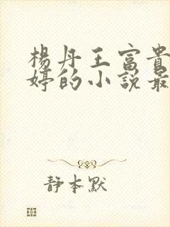 杨丹王富贵苏曼婷的小说最新章节更封面