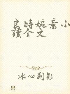良时婉意小说阅读全文