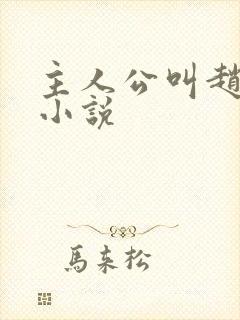 主人公叫赵青的小说