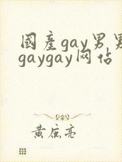 国产gay男男gaygay网站