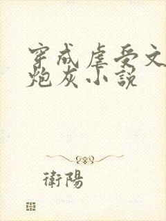 穿成虐受文里的炮灰小说