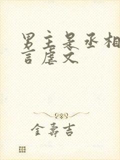 男主是丞相的古言虐文