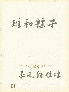 维和粽子