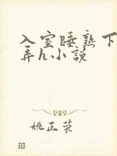 入室睡熟下药玩弄h小说封面