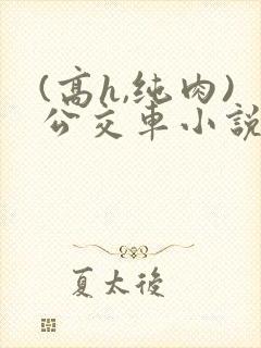 (高h,纯肉)公交车小说