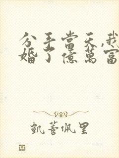 分手当天,我闪婚了亿万富豪全文阅读全文