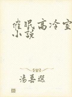 催眠高冷室友的小说封面