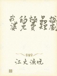 我的极品总裁老婆免费短剧封面