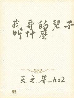 我哥的儿子叫我叫什么