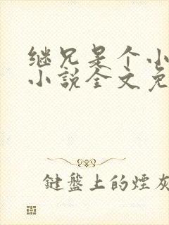 继兄是个小可怜小说全文免费阅读