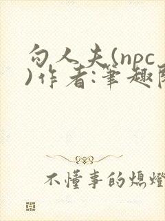 勾人夫(npc)作者:笔趣阁在线阅读
