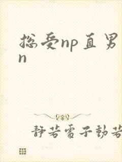 总受np直男苏n封面