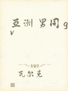 亚洲 男同 gv