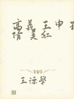 高义 王申 孙倩 美红