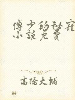 傅少的秘宠娇妻小说免费