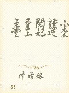 免费阅读小说下堂王妃逆袭记