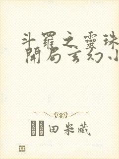 斗罗之灵珠神剑 开局玄幻小猪