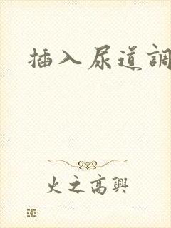 插入尿道调教文封面
