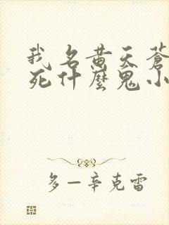 书籍封面