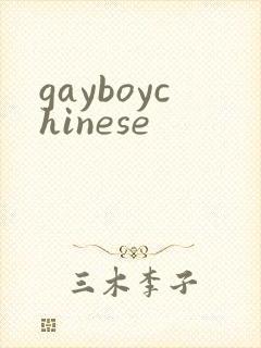 gayboychinese