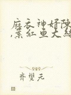 麻衣神婿陈黄皮,叶红鱼大结局