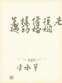 怎样修复老公外遇的婚姻封面