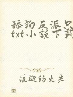 舔狗反派只想苟txt小说下载