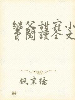 继父甜宠小说免费阅读全文封面