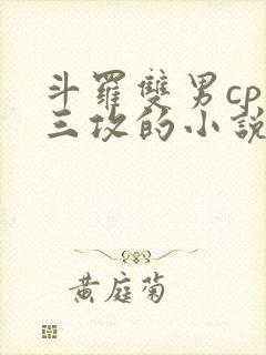 斗罗双男cp唐三攻的小说